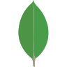 MongoDB logo